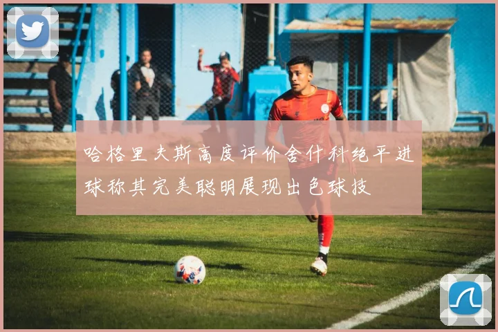 哈格里夫斯高度评价舍什科绝平进球称其完美聪明展现出色球技