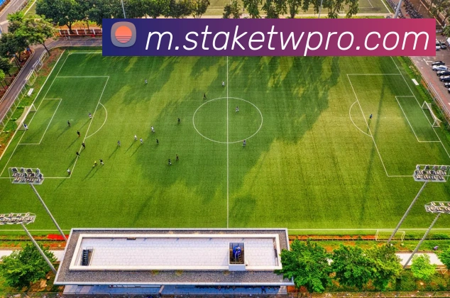 Stake台湾中文赌场全站App